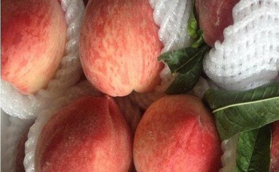 Fenghua White Peach