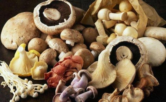 Mushrooms a super energy booster and sickness fighter