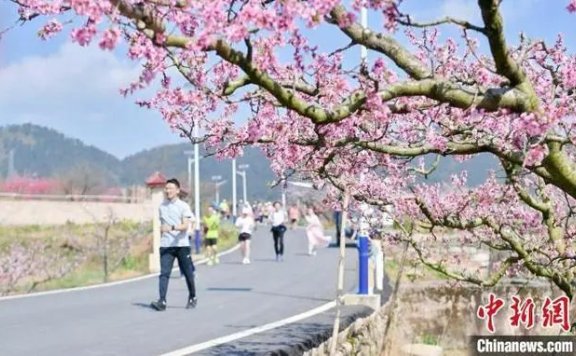 Guiyang, SW China’s Guizhou launches diverse activities to upgrade flower viewing tours