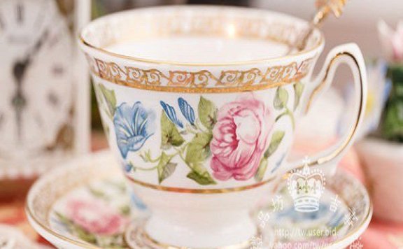 Wedgwood Porcelain