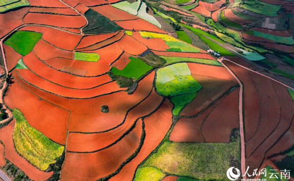 In pics: Colorful terraced fields in SW China’s Yunnan resemble palette