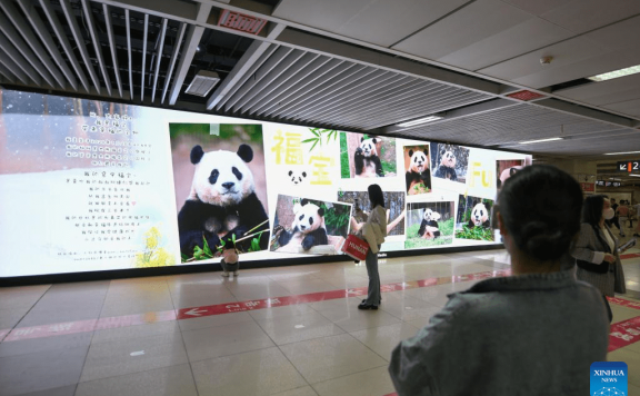 ROK-born giant panda Fu Bao returns to China