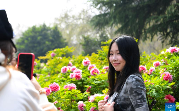 Tourists enjoy blossoming peony flowers in Luoyang, C China’s Henan