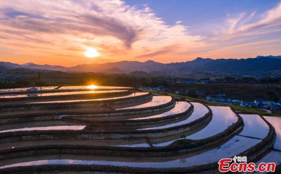 Autumn turns terraced fields into color palette in Hubei