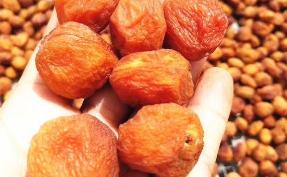 Gongliu Tree-Dried Apricots