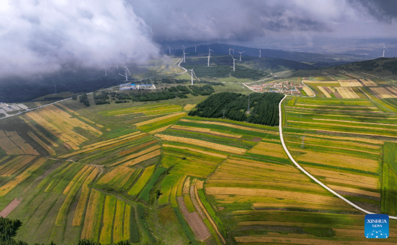 Autumn scenery in N China