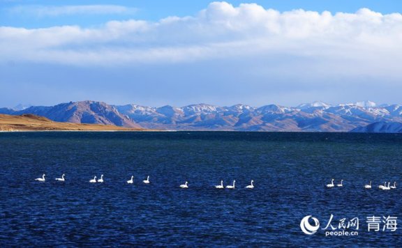 In pics: spectacular scenery of Donggi Cona Lake in NW China’s Qinghai