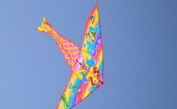 Weifang Kites