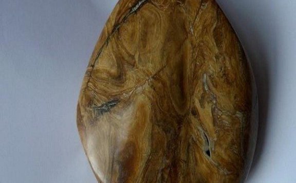 Burmese Root Amber