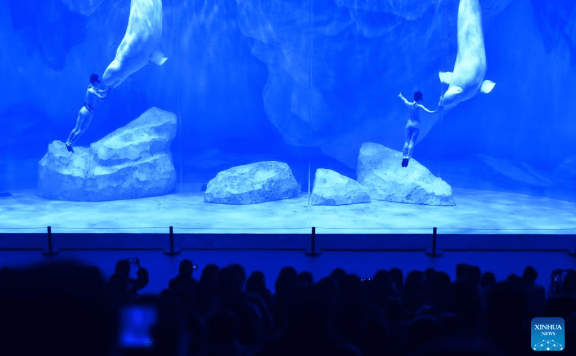 Staff members and beluga whales perform at Zhengzhou Haichang Ocean Resort