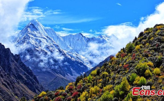 Lhari County in Tibet ushers into golden autumn