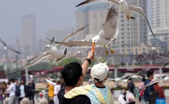 NE China’s scenic spots enter peak tourism season