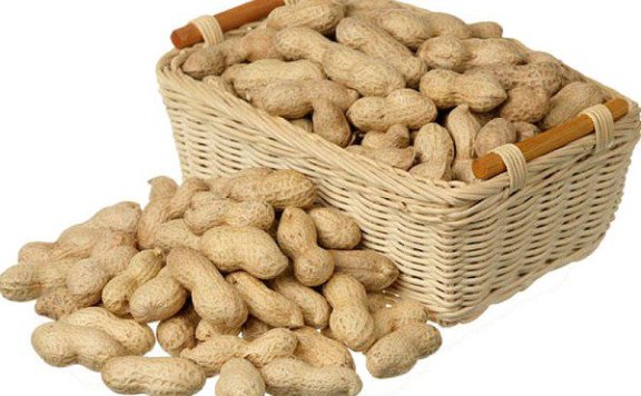 Wendeng Large Peanuts