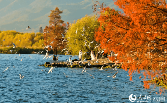 Beautiful scenery of Erhai Lake in Dali, SW China’s Yunnan