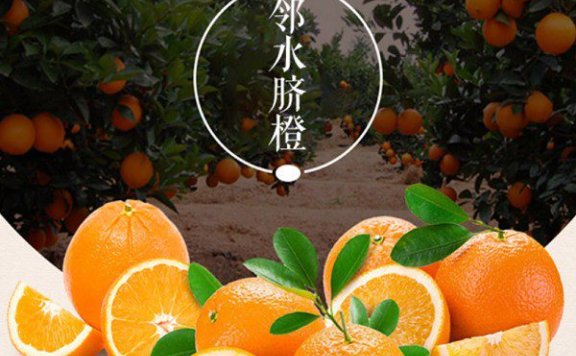 Linfen Navel Orange