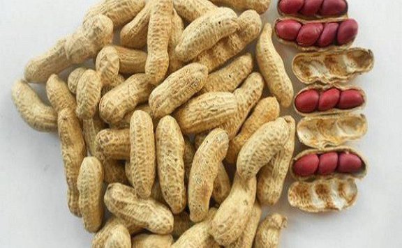 Wenheng Red-Skin Peanuts