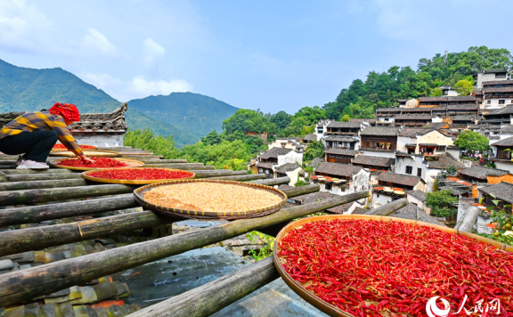 Villagers sun-dry crops in Wuyuan, E China’s Jiangxi