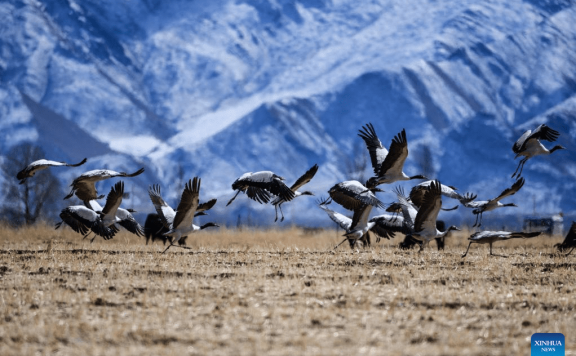 Snow scenery of Lhasa, SW China