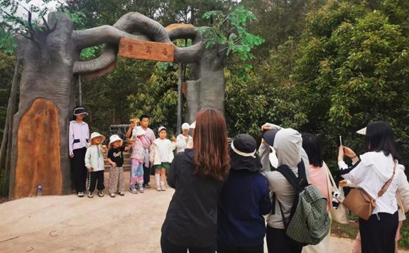 Picking edible fungi in SW China’s Yunnan popular among tourists