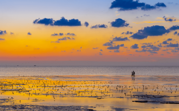 Migratory Bird Sanctuaries along the Coast of Yellow Sea-Bohai Gulf of China (Phase I)