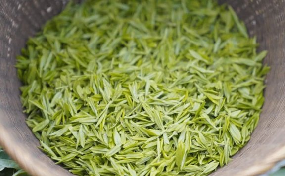 Price of 2024 Xinyang Maojian Spring Tea per Pound