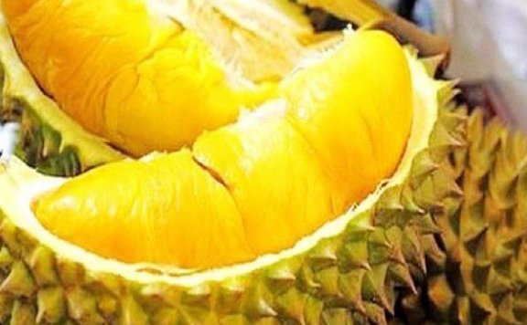 Durian Musang King