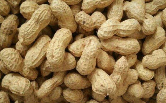 Linyi Lanshan Peanuts